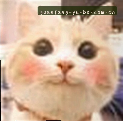 吴浩